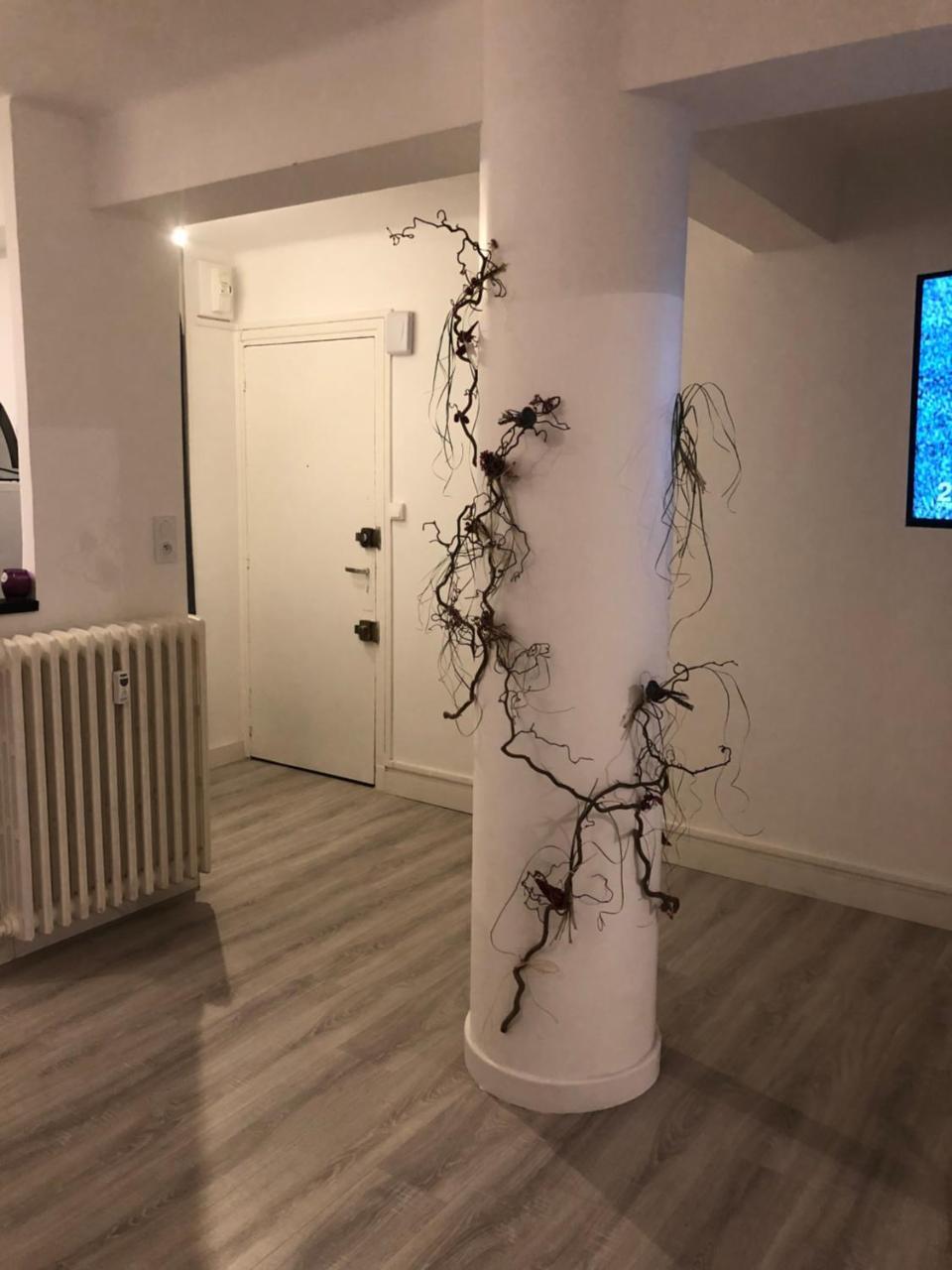 Apartmán Dupuy T3 Aseptise Toulouse Exteriér fotografie
